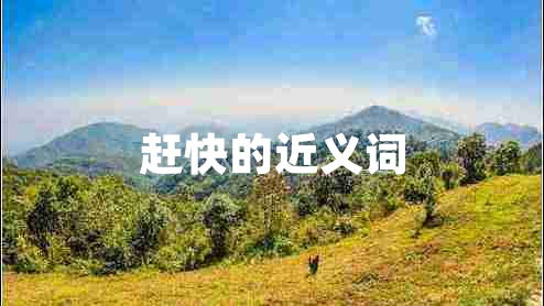 趕快的近義詞 趕快的近義詞