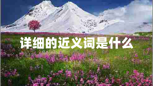 詳細(xì)的近義詞是什么