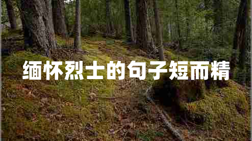 緬懷烈士的句子短而精