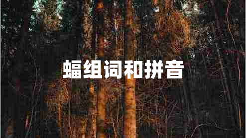 蝠組詞和拼音