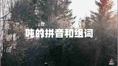 噸的拼音和組詞