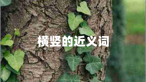 橫豎的近義詞