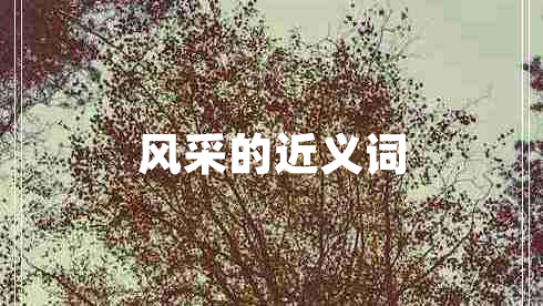 風(fēng)采的近義詞