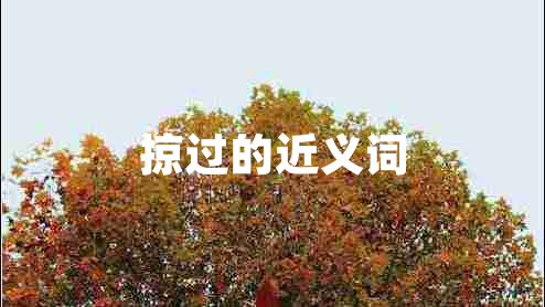 掠過的近義詞 掠過的近義詞