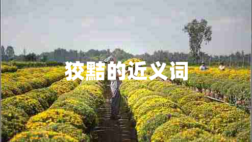 狡黠的近義詞 狡黠的近義詞