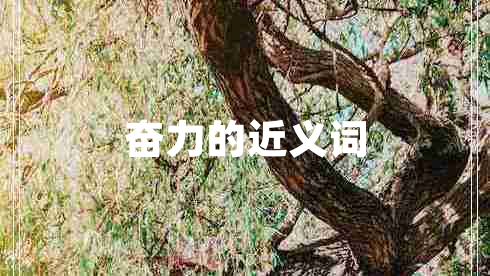 奮力的近義詞