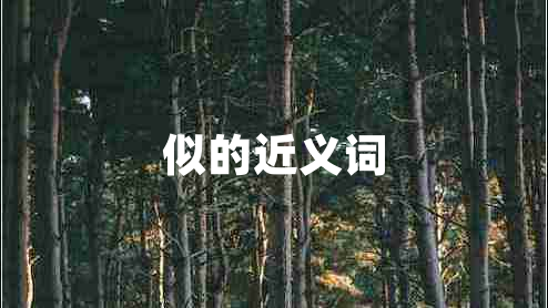 似的近義詞 似的近義詞