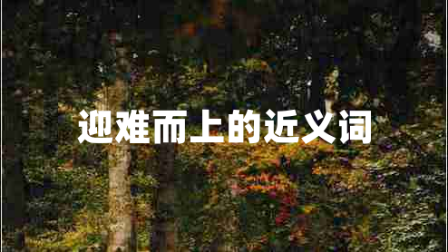 迎難而上的近義詞 迎難而上的近義詞