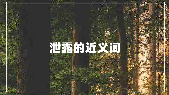 泄露的近義詞