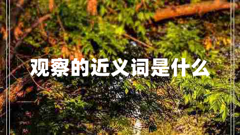 觀察的近義詞是什么