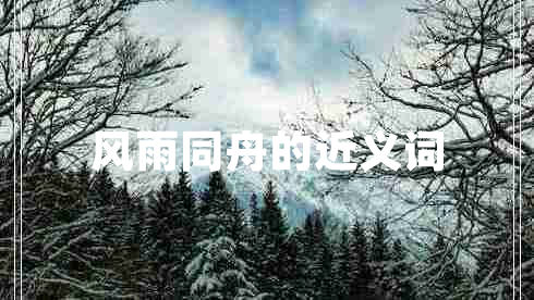 風(fēng)雨同舟的近義詞 風(fēng)雨同舟的近義詞