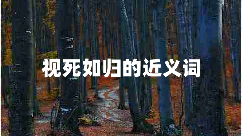 視死如歸的近義詞 視死如歸的近義詞