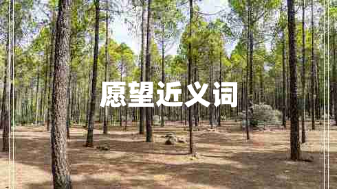 愿望近義詞 愿望近義詞