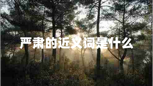 嚴肅的近義詞是什么