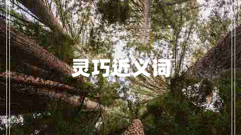 靈巧近義詞 靈巧近義詞