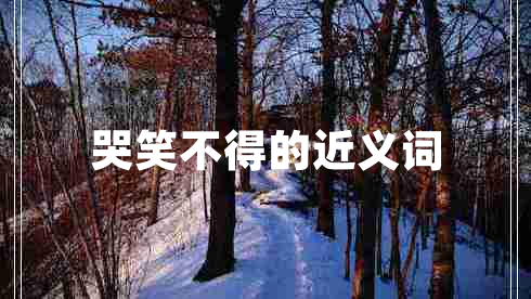 哭笑不得的近義詞 哭笑不得的近義詞