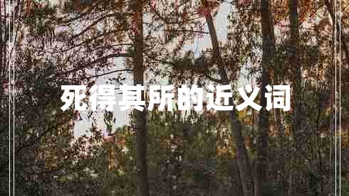 死得其所的近義詞