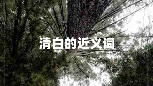 清白的近義詞
