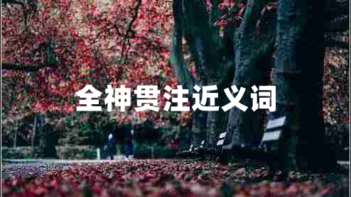 全神貫注近義詞