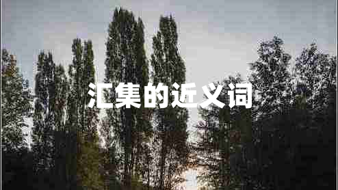 匯集的近義詞 匯集的近義詞