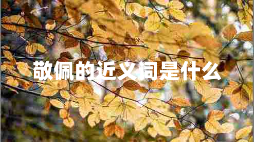 敬佩的近義詞是什么