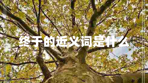 終于的近義詞是什么 終于的近義詞是什么