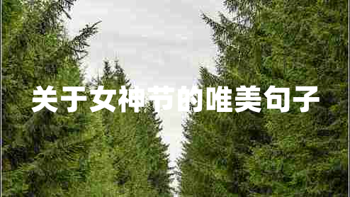 關(guān)于女神節(jié)的唯美句子