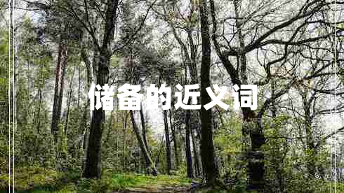 儲(chǔ)備的近義詞 儲(chǔ)備的近義詞