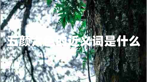 五顏六色的近義詞是什么