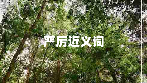 嚴(yán)厲近義詞