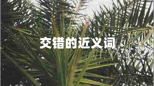 交錯的近義詞