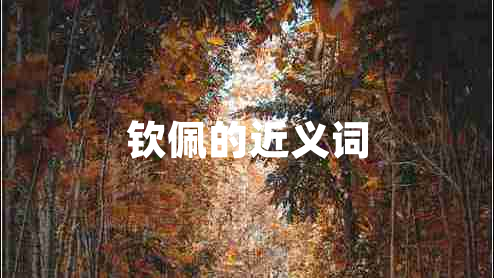 欽佩的近義詞 欽佩的近義詞