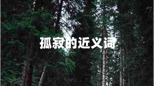 孤寂的近義詞 孤寂的近義詞