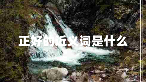 正好的近義詞是什么