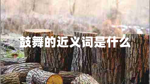 鼓舞的近義詞是什么