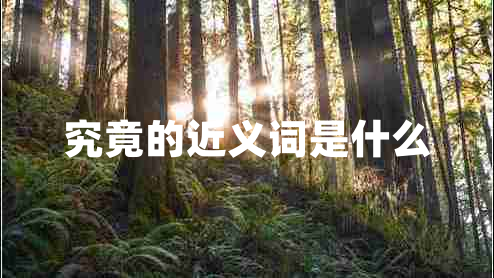 究竟的近義詞是什么