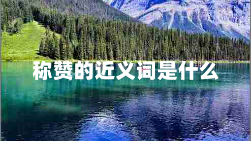 稱贊的近義詞是什么