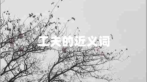 工夫的近義詞 工夫的近義詞