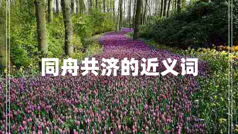 同舟共濟(jì)的近義詞