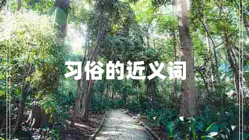 習(xí)俗的近義詞 習(xí)俗的近義詞