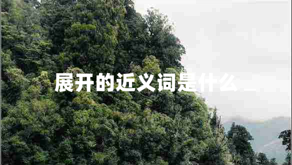 展開的近義詞是什么