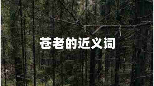 蒼老的近義詞