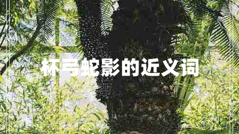 杯弓蛇影的近義詞 杯弓蛇影的近義詞