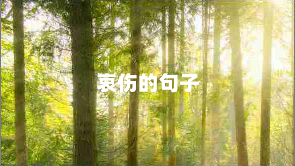 哀傷的句子 哀傷的句子