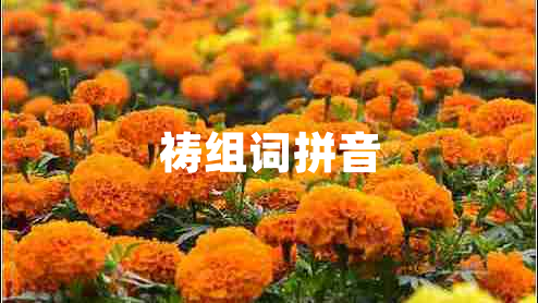 禱組詞拼音 禱組詞拼音