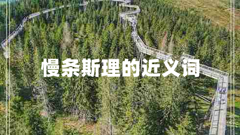 慢條斯理的近義詞