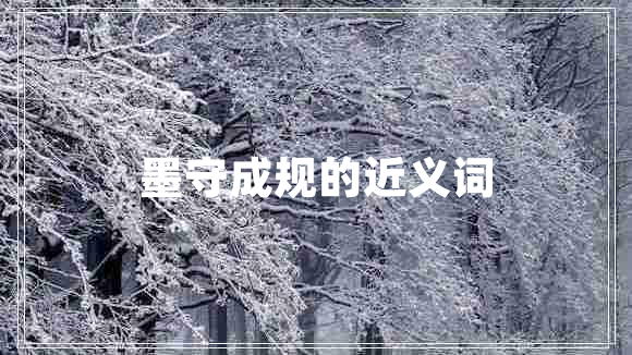 墨守成規(guī)的近義詞