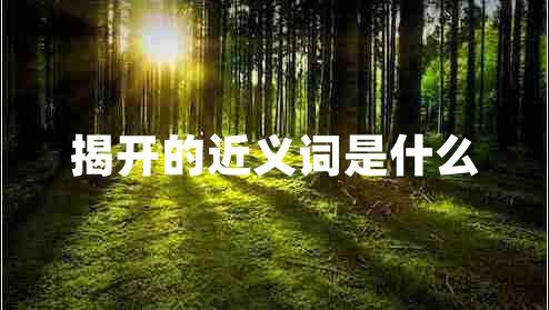 揭開的近義詞是什么