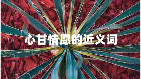 心甘情愿的近義詞