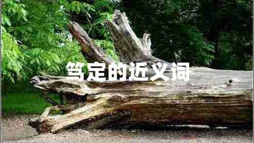 篤定的近義詞 篤定的近義詞